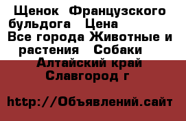 Щенок  Французского бульдога › Цена ­ 35 000 - Все города Животные и растения » Собаки   . Алтайский край,Славгород г.